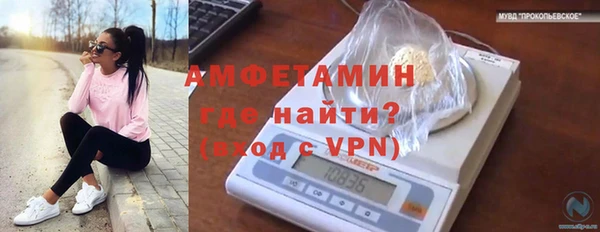 стаф Вязники