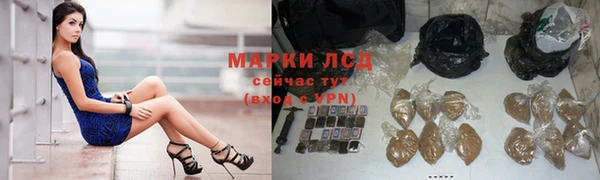 стаф Вязники