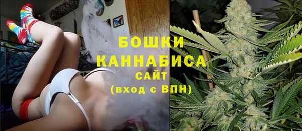 крисы Вязьма