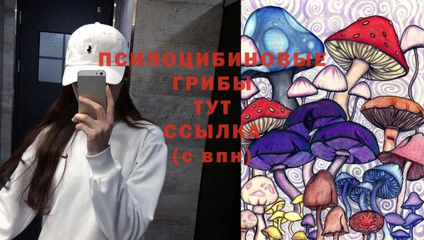 MDMA Premium VHQ Вяземский